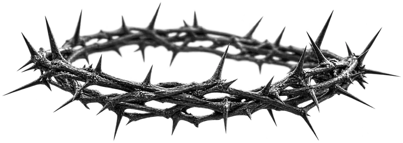 A crown of thorns, symbolizing Christ's crucifixion